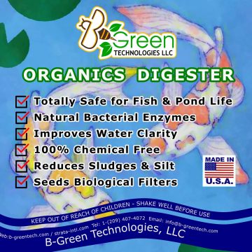 WhatsApp Image 2022-08-11 at 1.40.01 PM